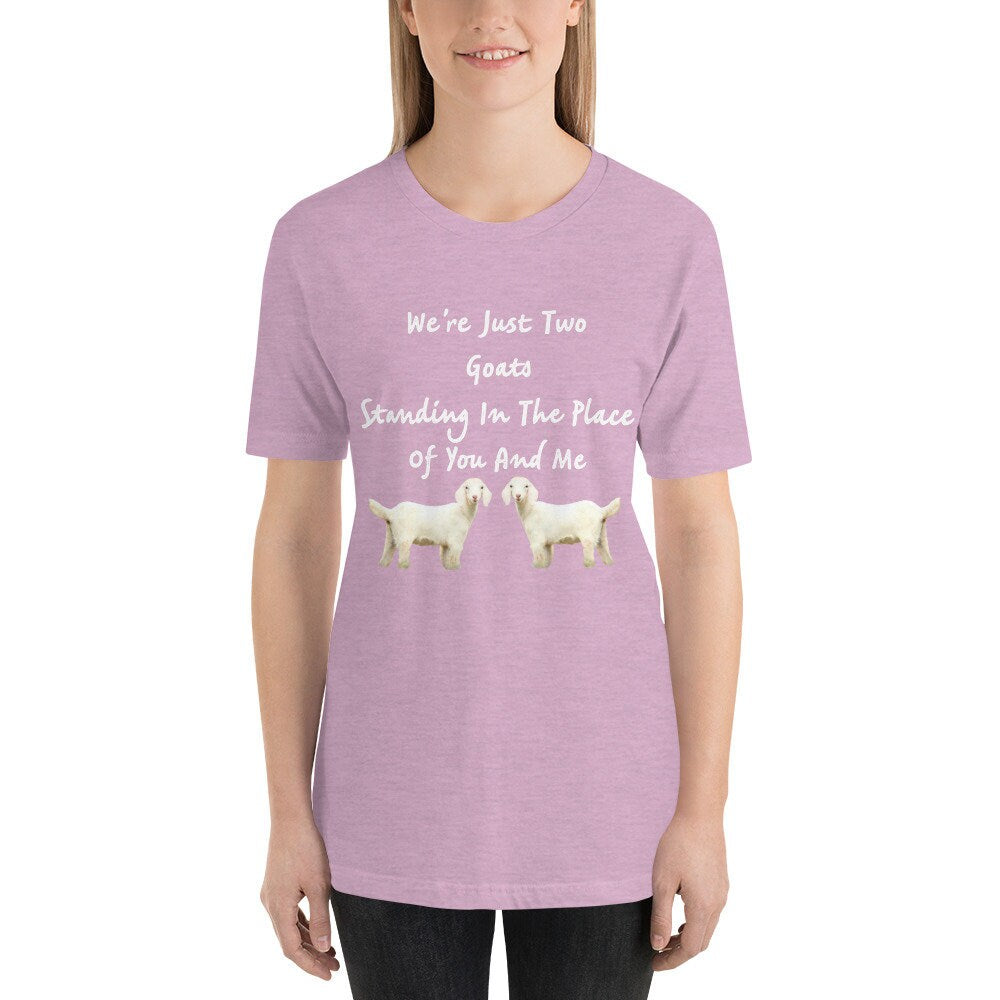 We're Just Two Goats Standing In The Place Of You And Me Cute Funny TShirt Harry Tee Shirt with Goats Gift Tee Shirt for Man or Woman TShirt