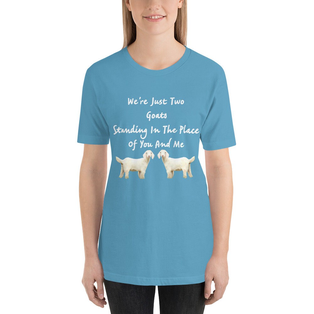 We're Just Two Goats Standing In The Place Of You And Me Cute Funny TShirt Harry Tee Shirt with Goats Gift Tee Shirt for Man or Woman TShirt