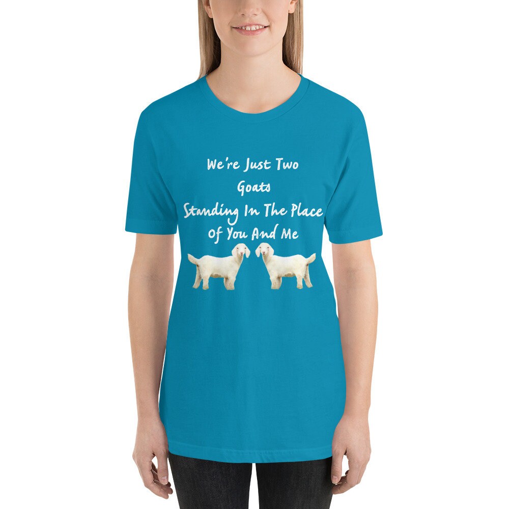 We're Just Two Goats Standing In The Place Of You And Me Cute Funny TShirt Harry Tee Shirt with Goats Gift Tee Shirt for Man or Woman TShirt