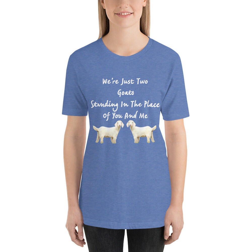 We're Just Two Goats Standing In The Place Of You And Me Cute Funny TShirt Harry Tee Shirt with Goats Gift Tee Shirt for Man or Woman TShirt