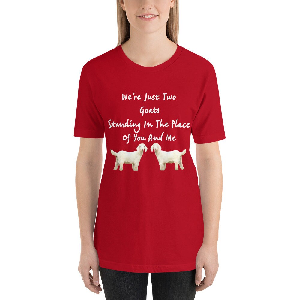 We're Just Two Goats Standing In The Place Of You And Me Cute Funny TShirt Harry Tee Shirt with Goats Gift Tee Shirt for Man or Woman TShirt